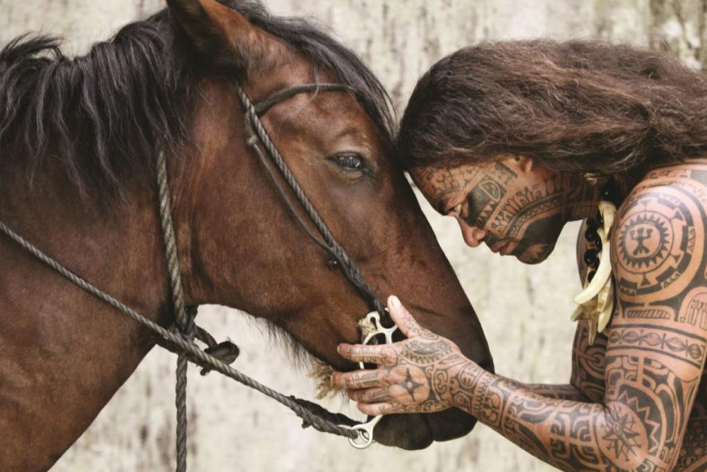 Camarote Estudio de tatuajes - Aranoa