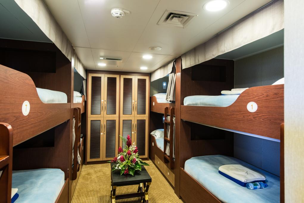 Dormitorio 8 literas Aranui 5