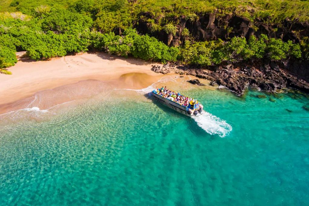 Excursiones únicas Aranui 5