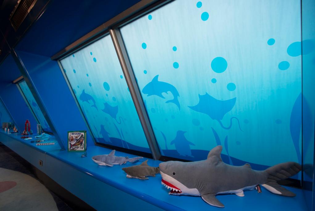 Camarote Camp Carnival - Carnival Triumph