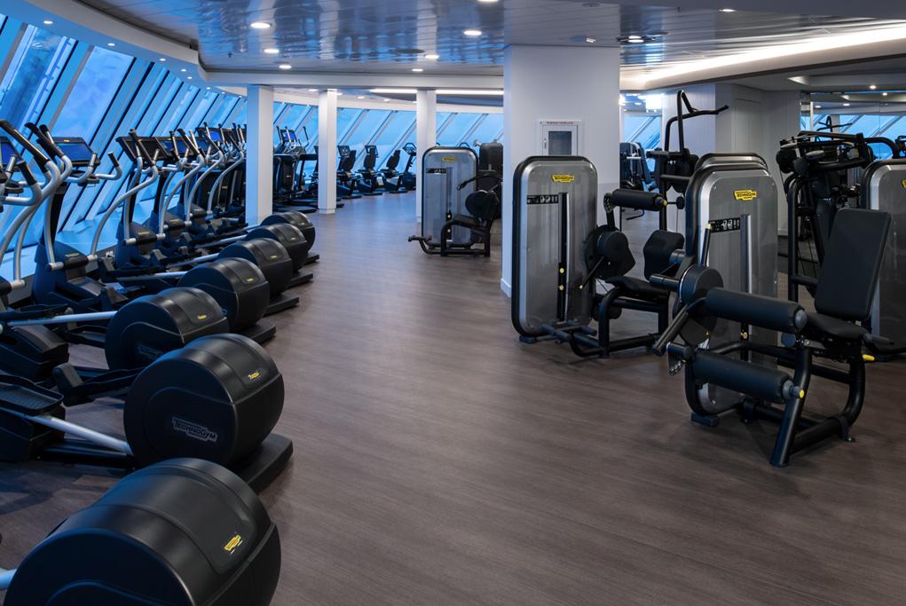 Gimnasio Celebrity Apex