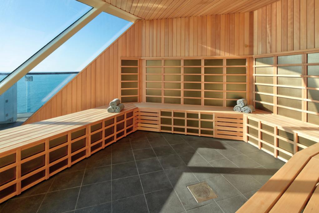 The Spa Sauna Celebrity Beyond
