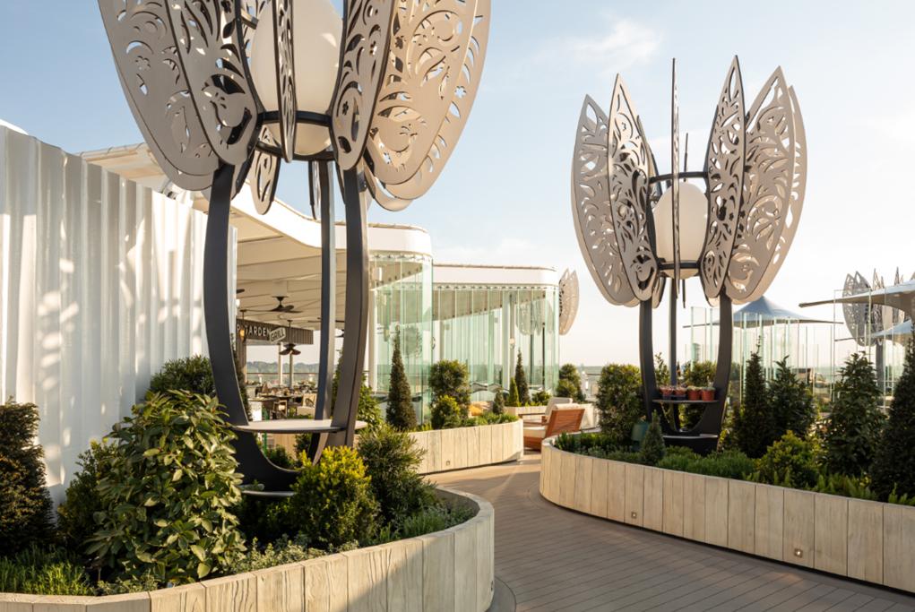 The RoofTop Celebrity Beyond