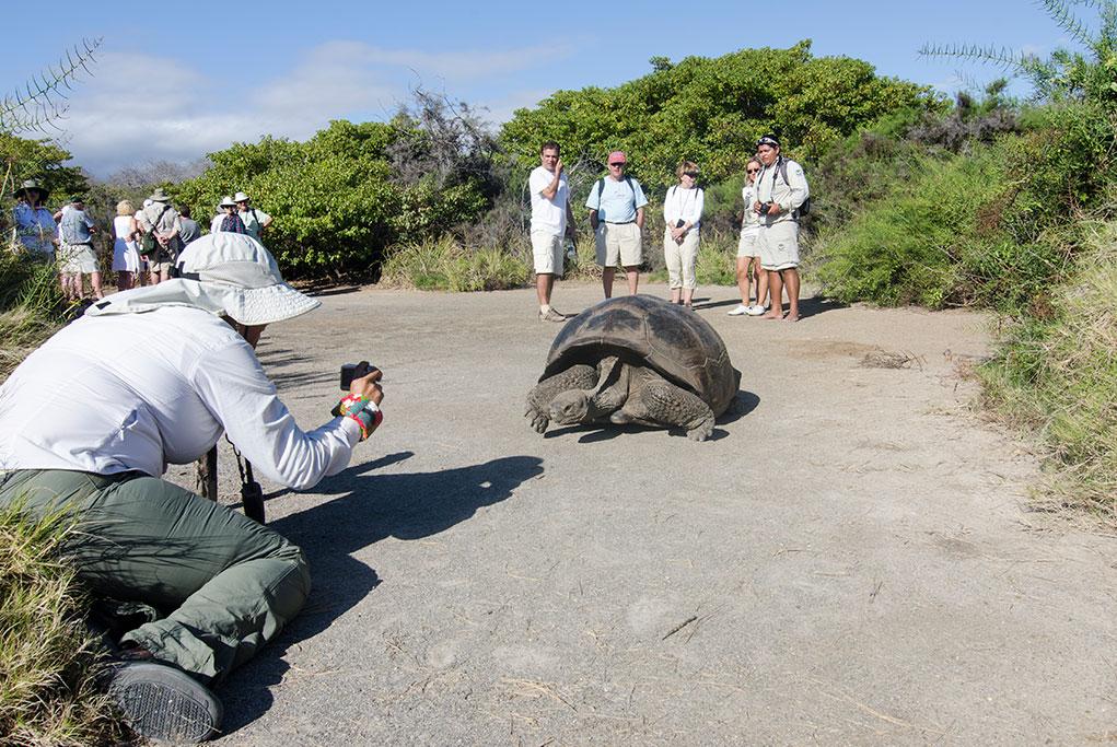 Excursiones Celebrity Xpedition