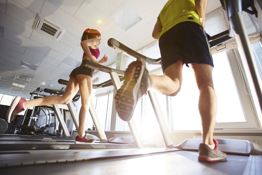 Gimnasio Celestyal Olympia