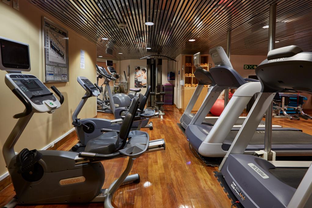 Gimnasio Celestyal Majesty