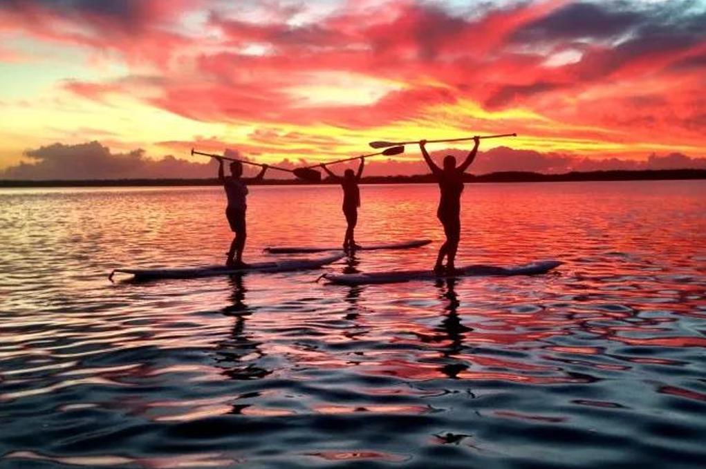 Deportes acuáticos Elysium