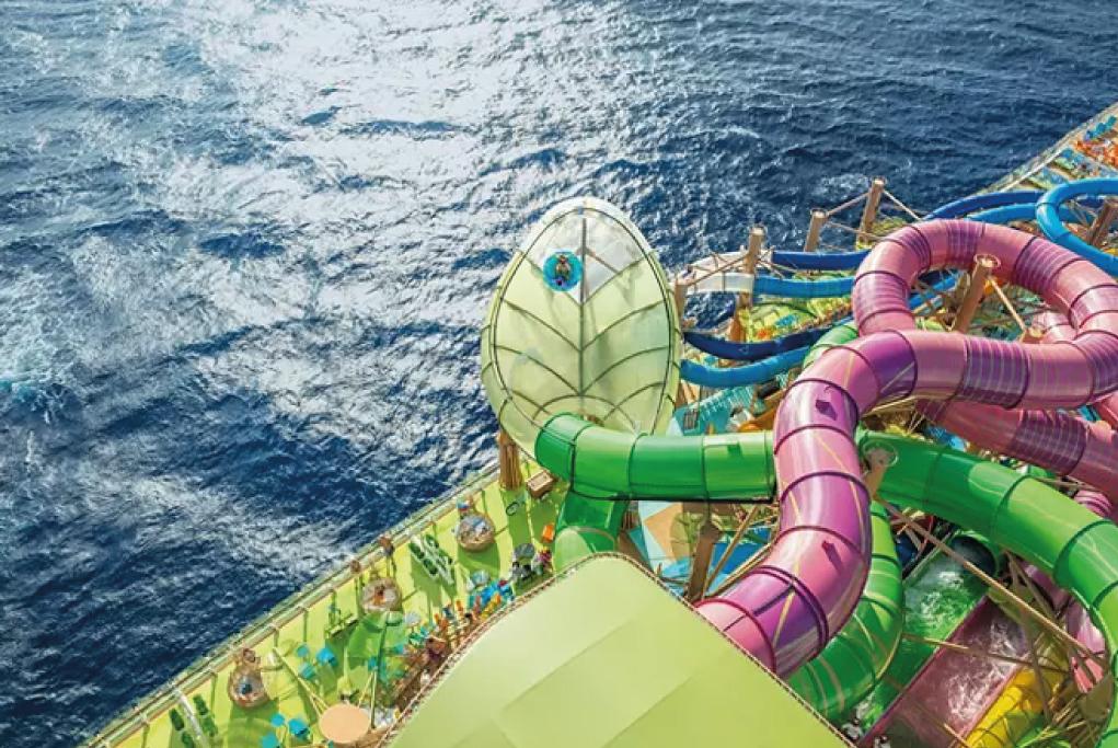 Camarote Revolución Acuática - Star of the Seas