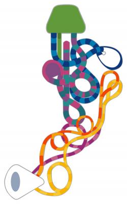 Cubierta 20 Legend of the Seas