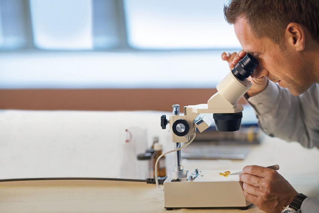 Camarote Aventura científica - MS Bremen