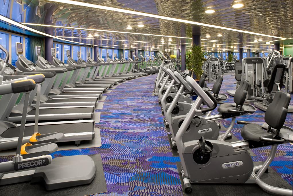 Gimnasio MS Eurodam