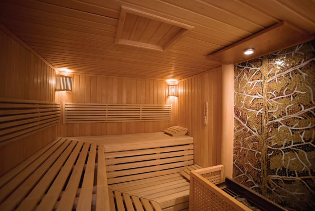 Sauna MS Europa