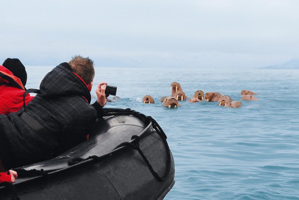 Expediciones MS Hanseatic