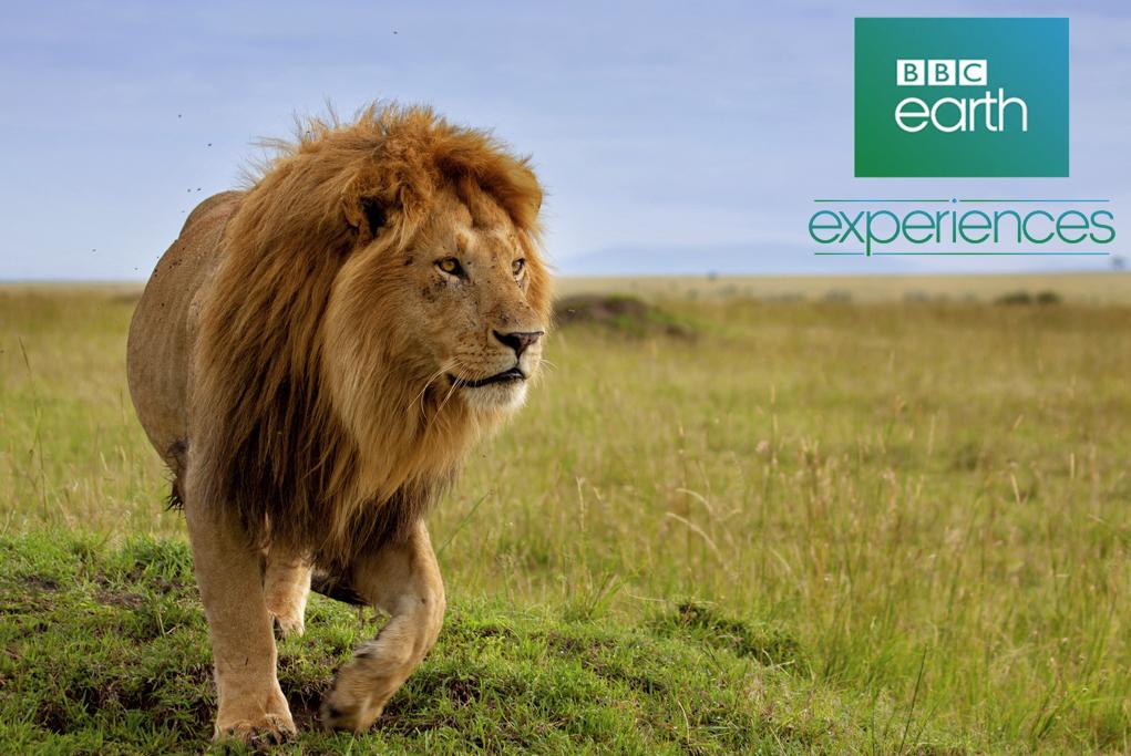 BBC Experiences MS Volendam