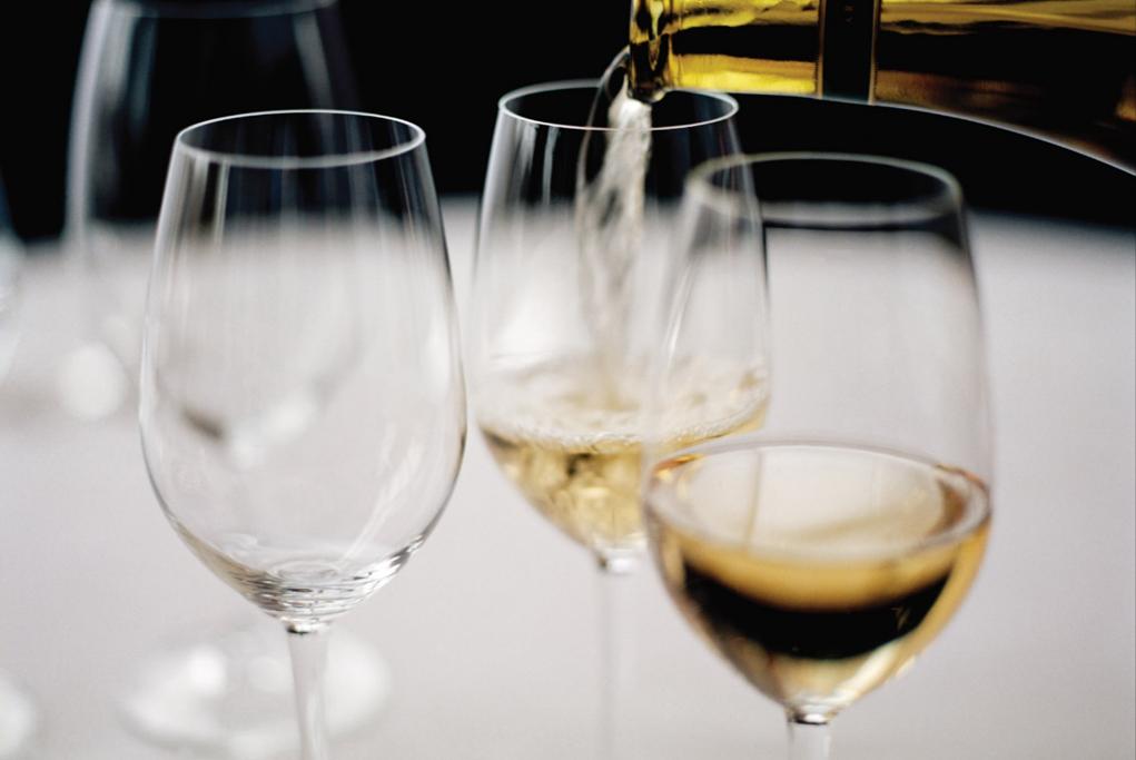 Camarote Degustación de vinos - MS Volendam