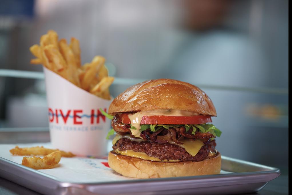 Camarote  Dive-In - MS Zaandam