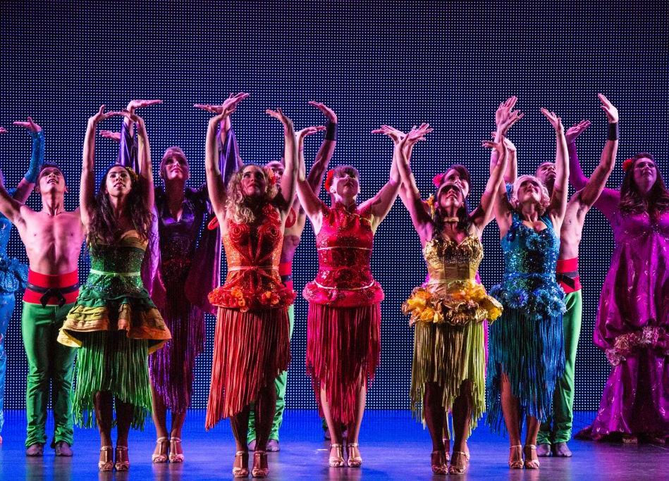 Camarote Diversión a bordo - Navigator of the Seas