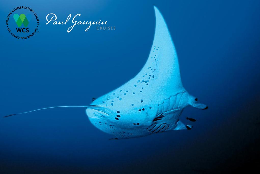 Camarote Programas de conservación - M/S Paul Gauguin