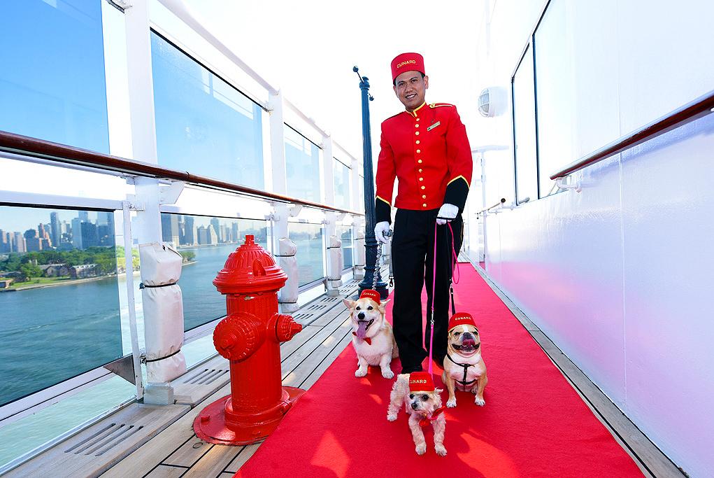 Mascotas Queen Mary 2