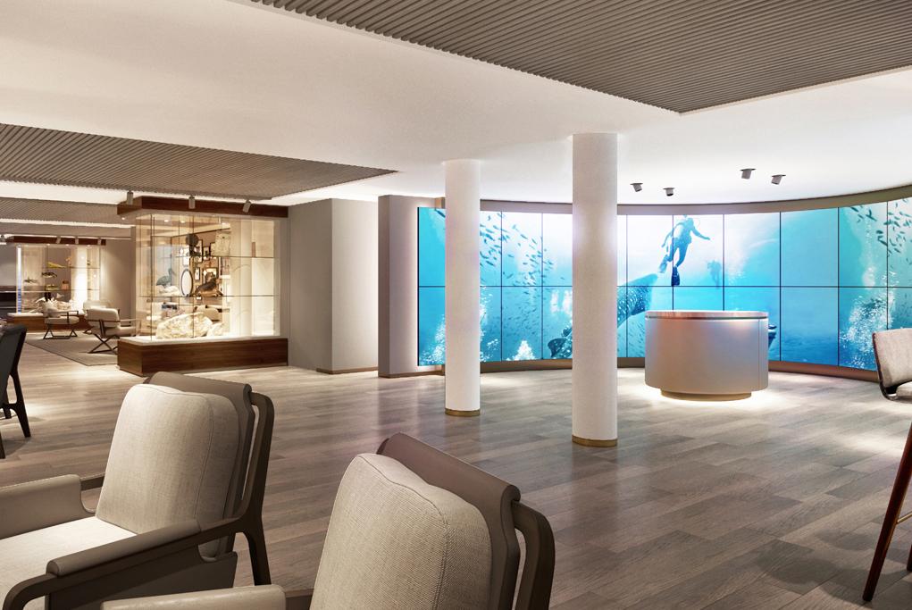 Basecamp Silver Origin