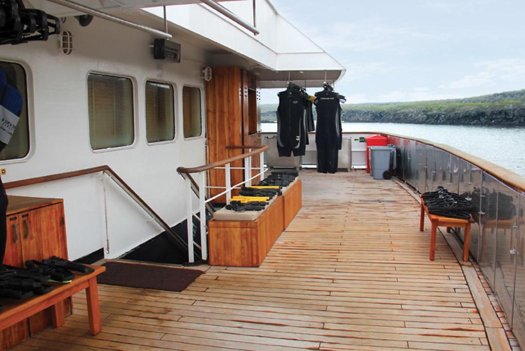 Area snorkel Silver Galapagos