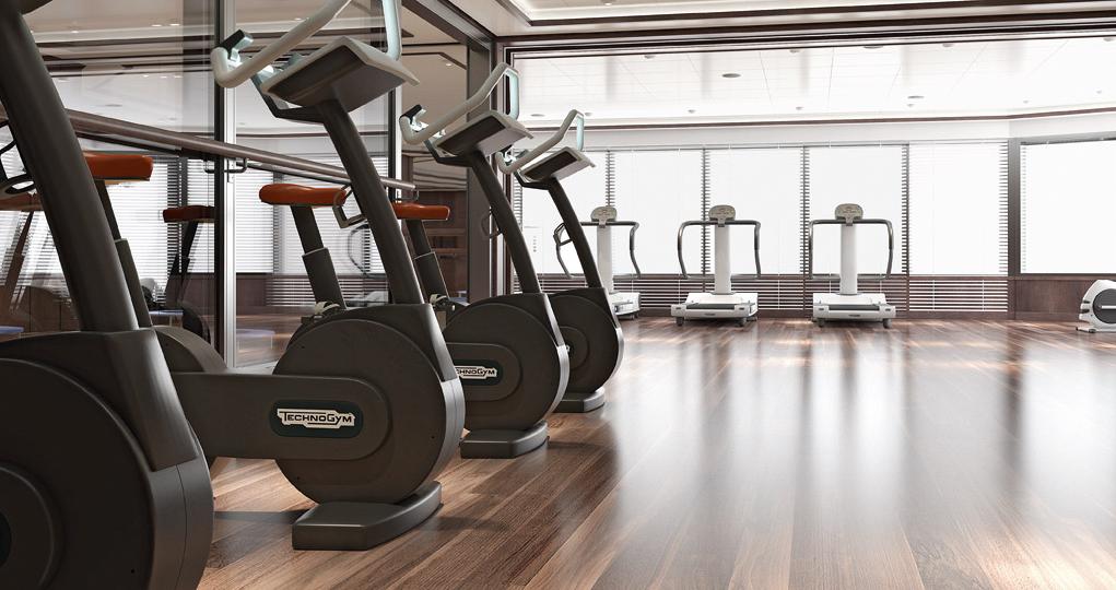 Gimnasio Silver Muse