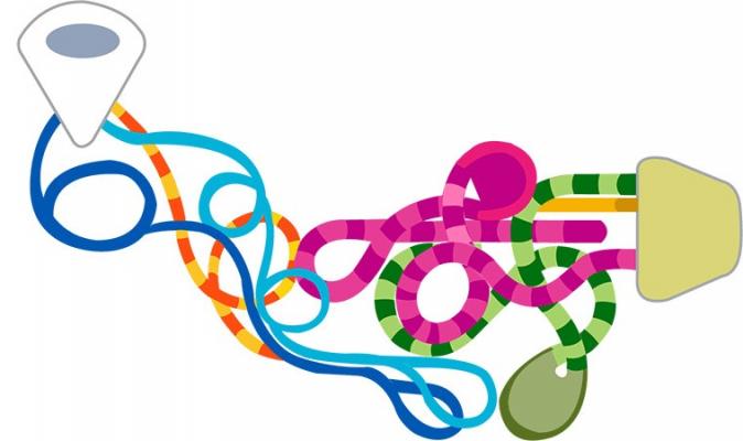 Cubierta 20 Star of the Seas