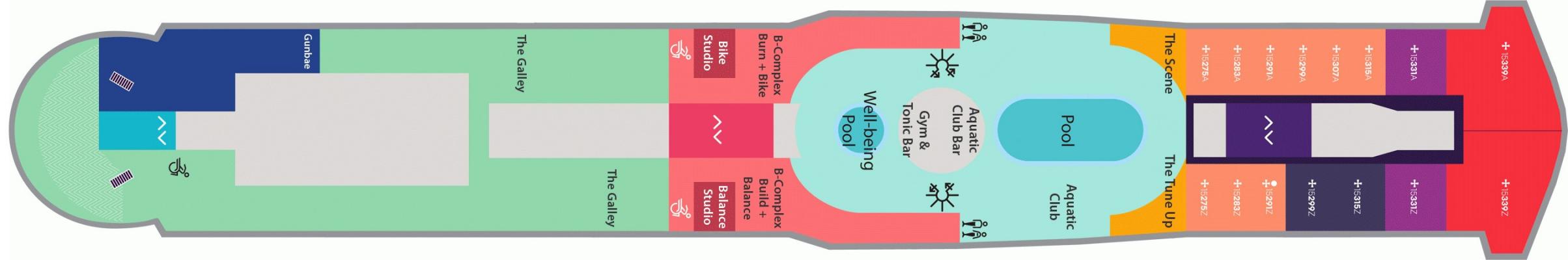 Cubierta 15 Valiant Lady