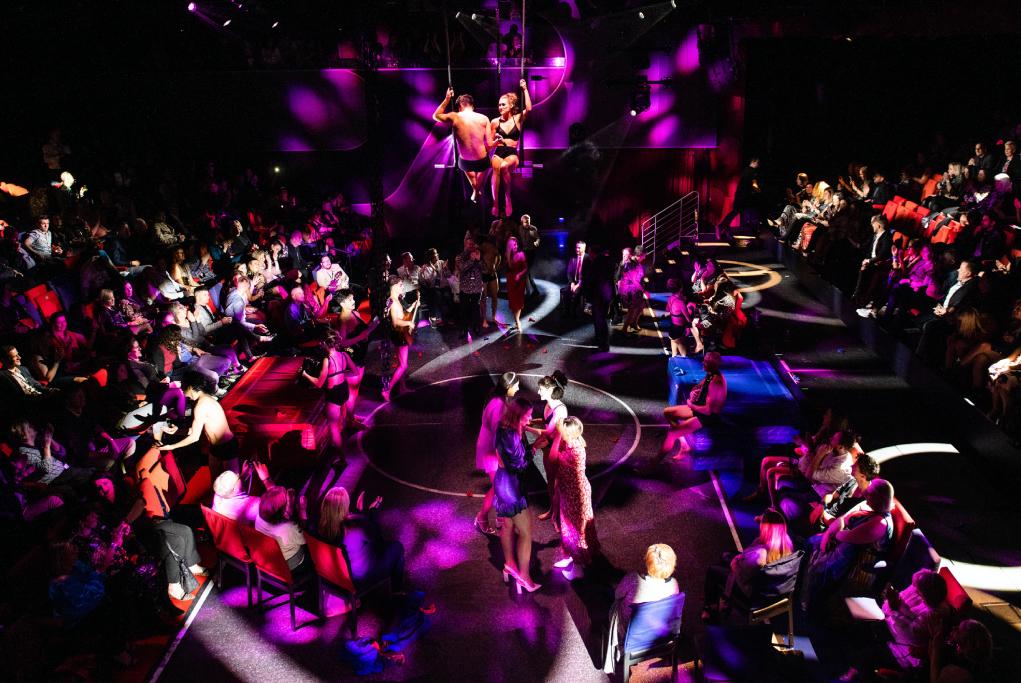 Fiestas Brilliant Lady