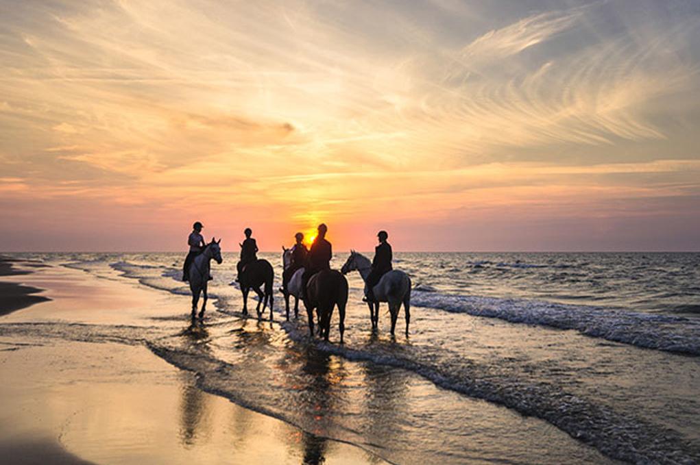 Actividades exclusivas - Elixir Cruises