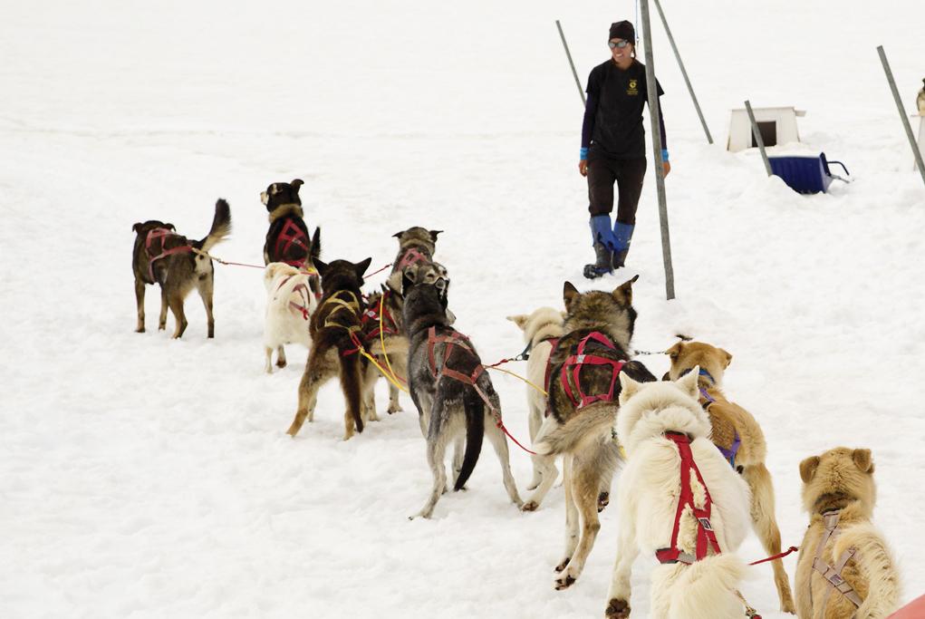Programa para Jóvenes Alaska Explorers - Oceania Cruises