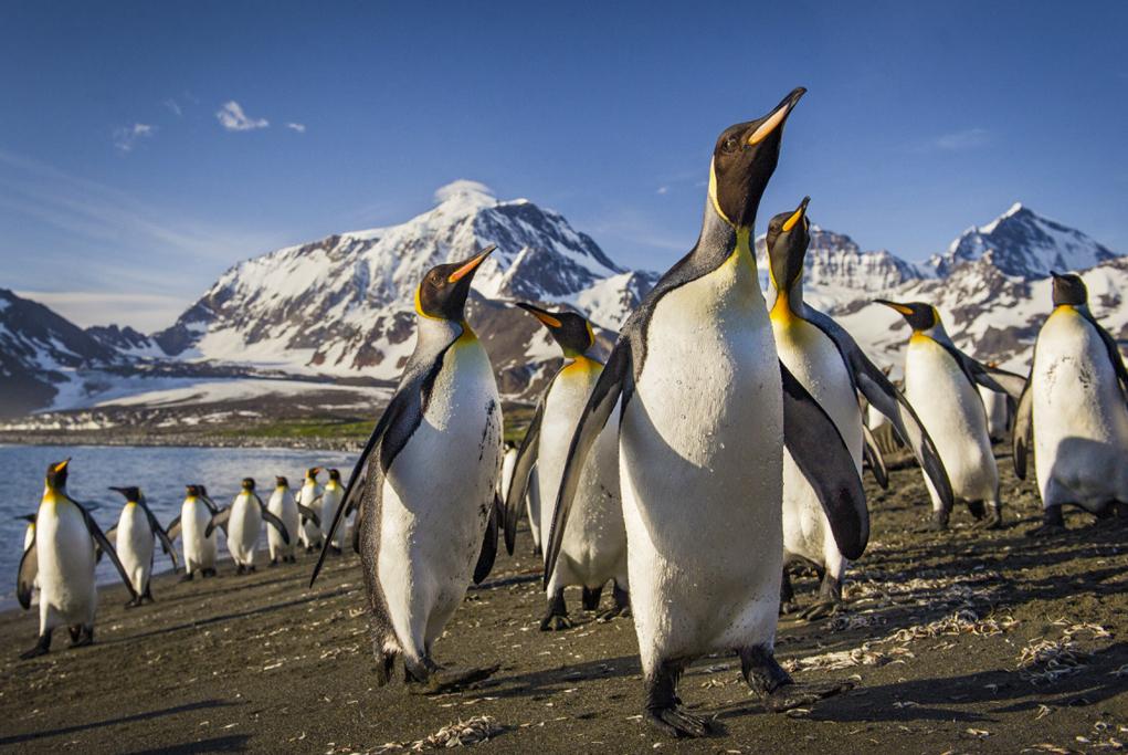 Destinos exóticos - Ponant