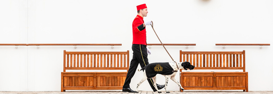 Cunard Mascotas Animales