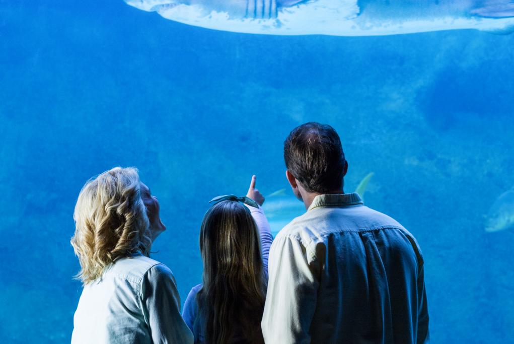 Aquatopia - Amberes - Antwerp