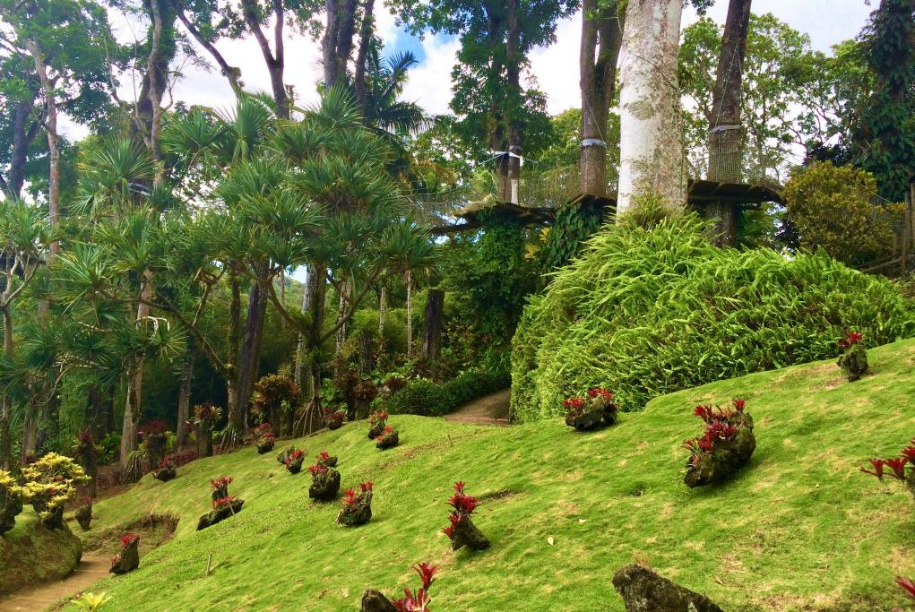 Jardín Botánico Balata - Fort de France - Martinica