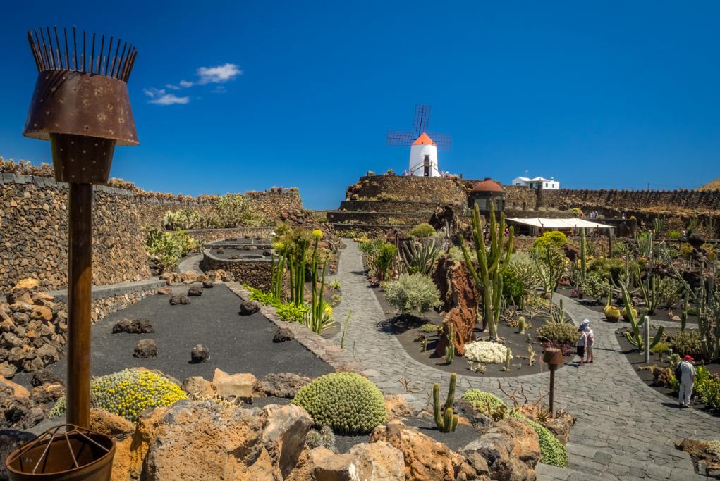 Jardín del Cactus - Lanzarote