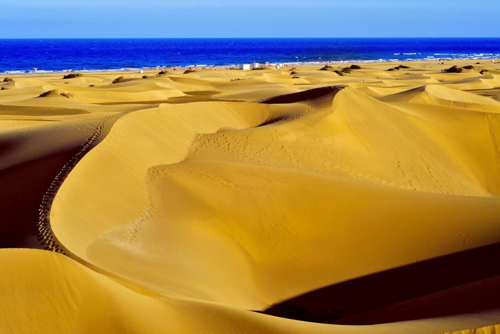 Dunas de Maspalomas - Las Palmas de Gran Canaria
