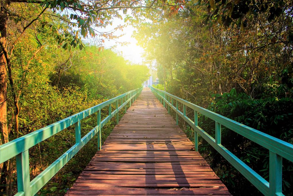 Sendero Ecológico de la Isla de Porto Belo - Porto Belo - Brasil