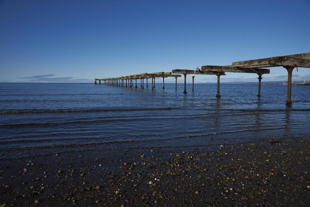 Recorrido por Punta Arenas - Punta Arenas