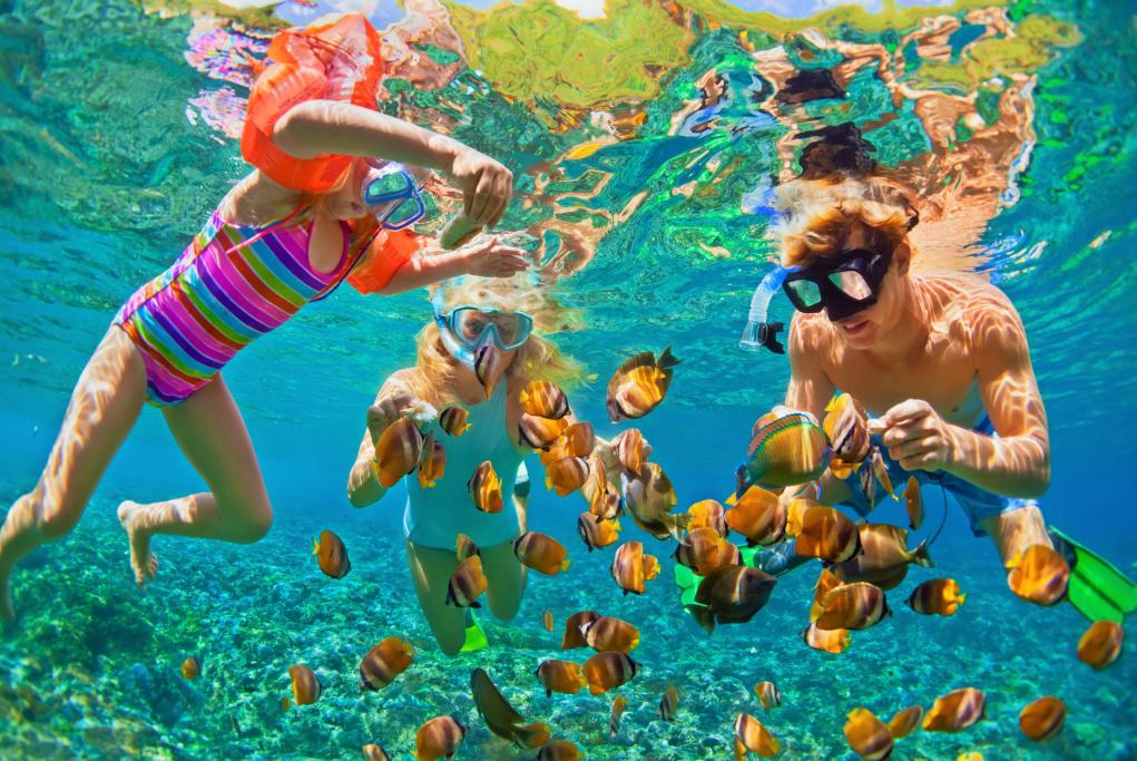 Arrecife Buck Island - Saint Croix - Usvi