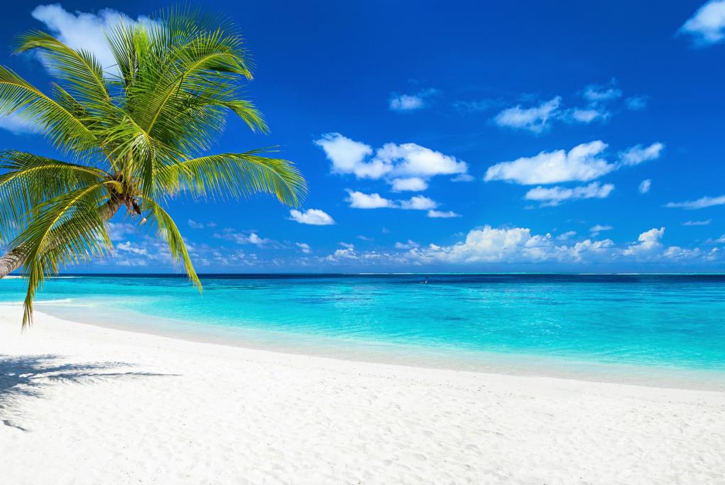 Playa Rainbow - Saint Croix - Usvi