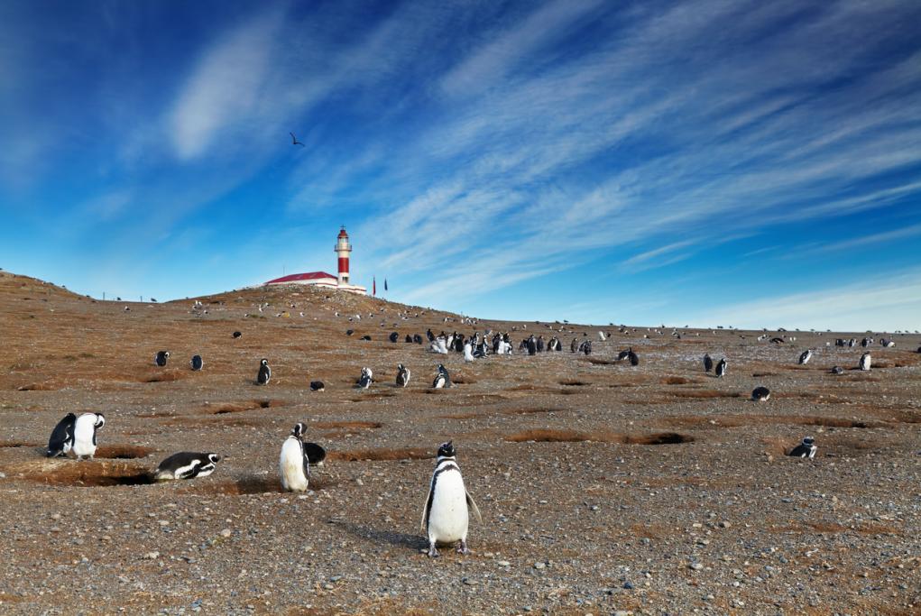 Cabo de Hornos - Ushuaia