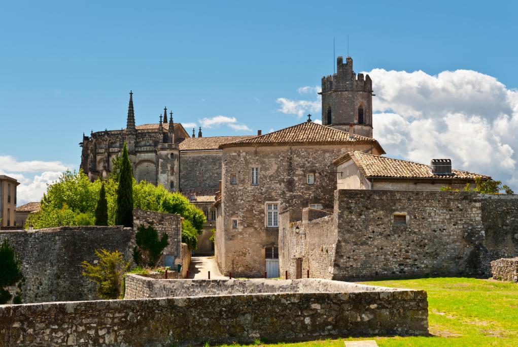 Catedral de San Vicente - Viviers