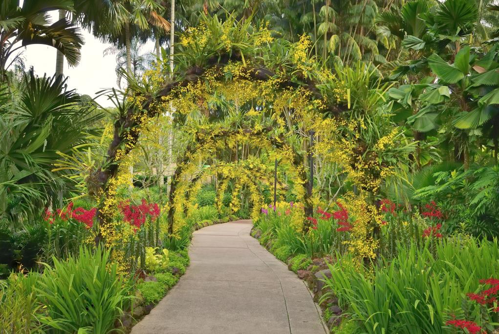 Jardín Botánico - Singapur