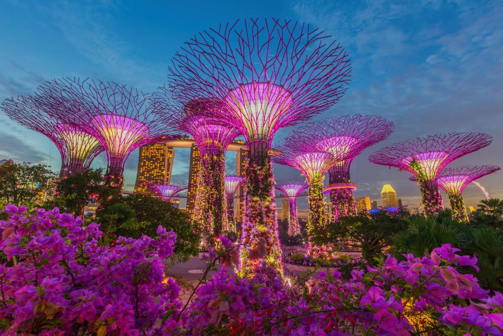 Garden by the Bay - Singapur