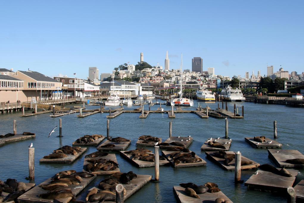 Pier 39 - San Francisco